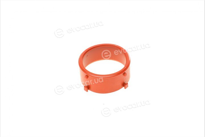 Solgy 113006