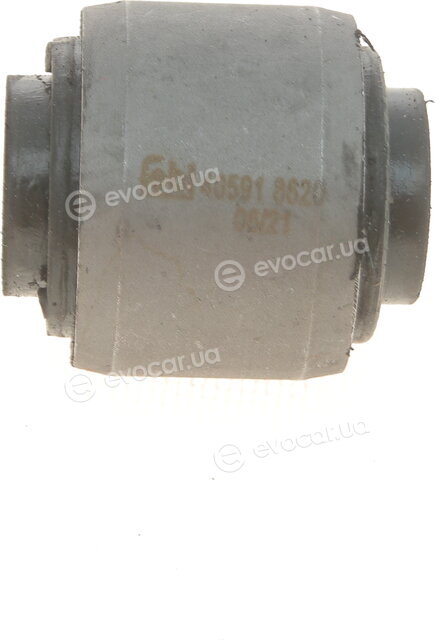 Febi 40591