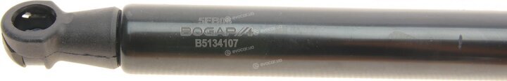 Bogap B5134107