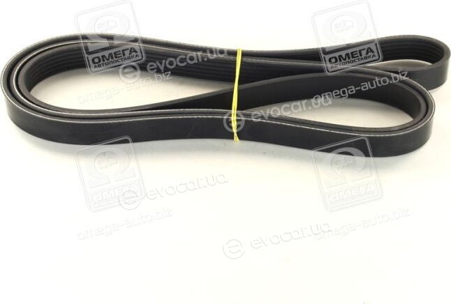 Dayco 6PK2040