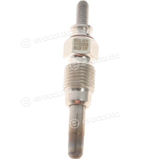 Solgy 116003