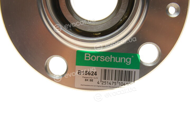 Borsehung B15624