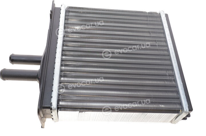 Van Wezel 17006150