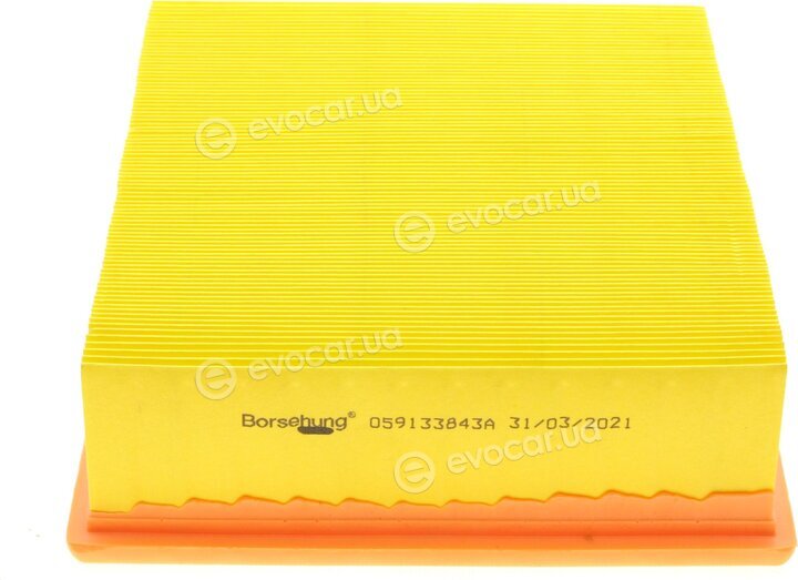 Borsehung B10545