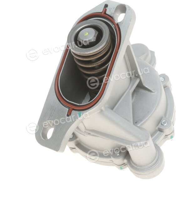 Solgy 109002