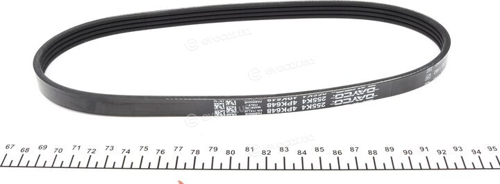 Dayco 4PK648