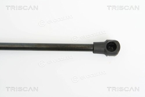 Triscan 8710 25234
