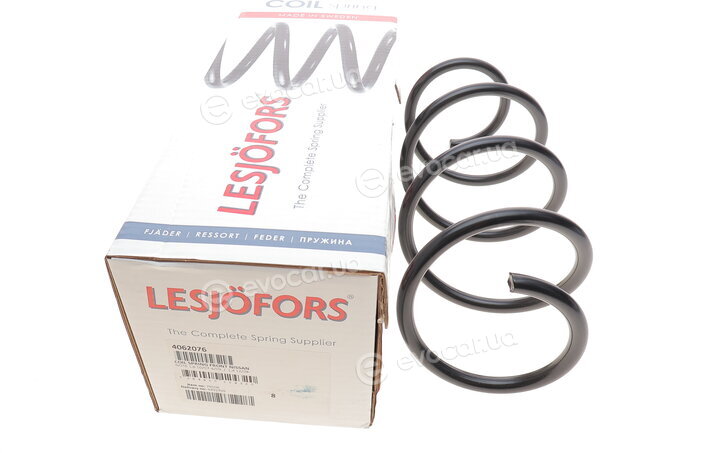Lesjofors 4062076