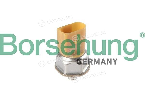 Borsehung B12934