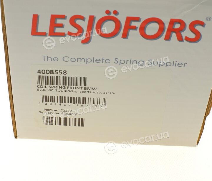 Lesjofors 4008558