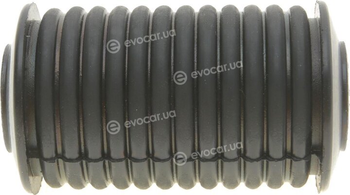 Solgy 201027