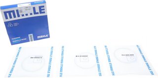 Mahle 009 90 V0