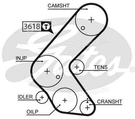 Gates K035563XS