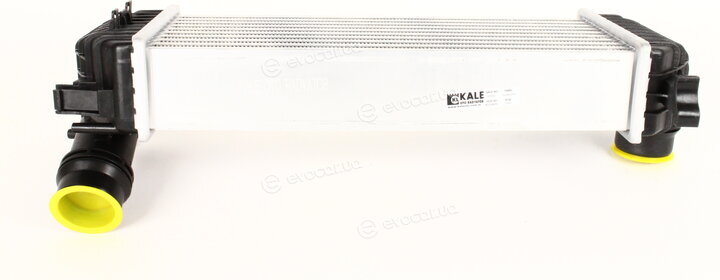 Kale 350915