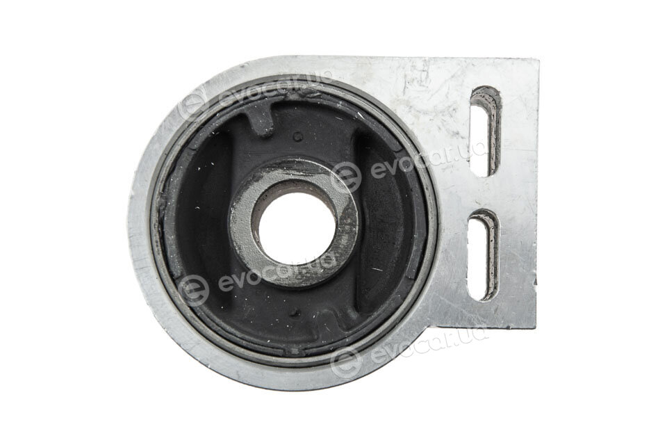 NTY ZTP-DW-035B