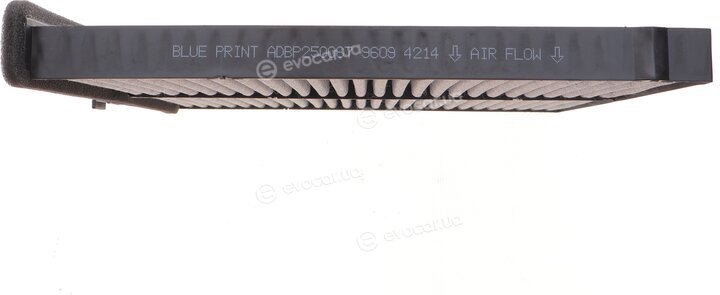 Blue Print ADBP250067