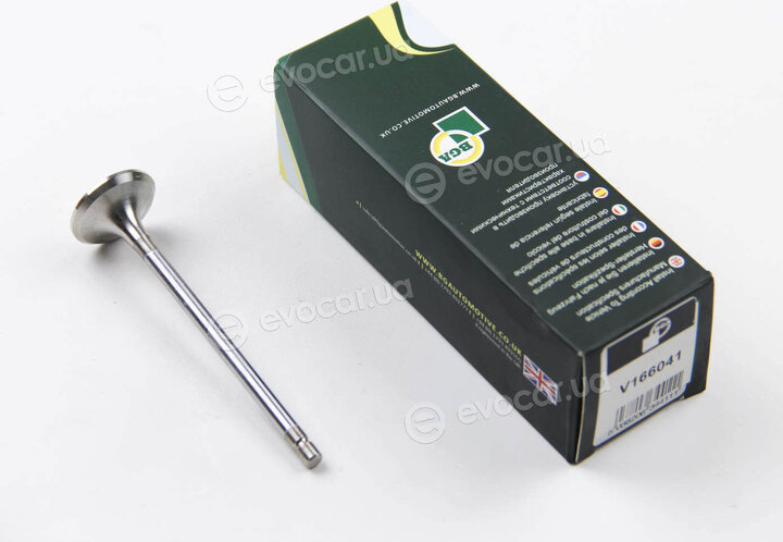 BGA V166041