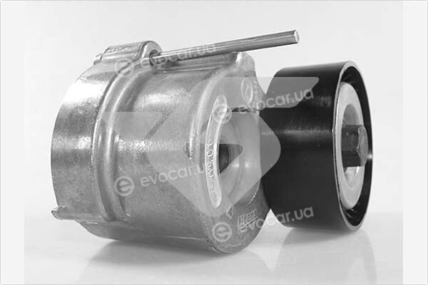 Hutchinson T0562