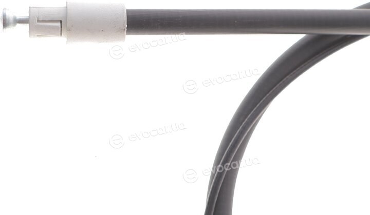 Solgy 219037