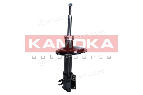 Kamoka 2001043
