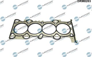Dr. Motor DRM8203
