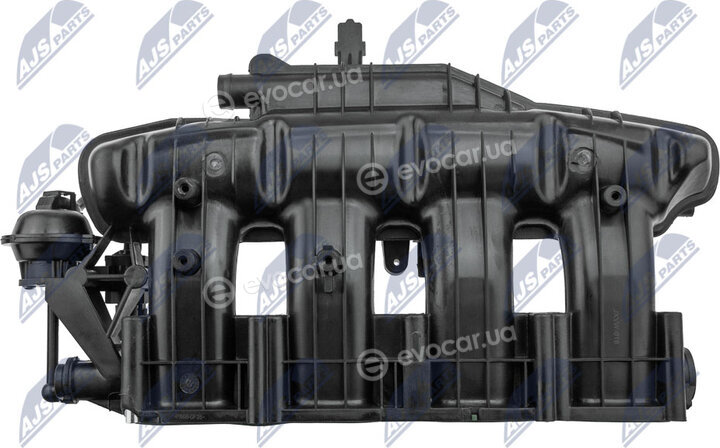 NTY BKS-VW-018