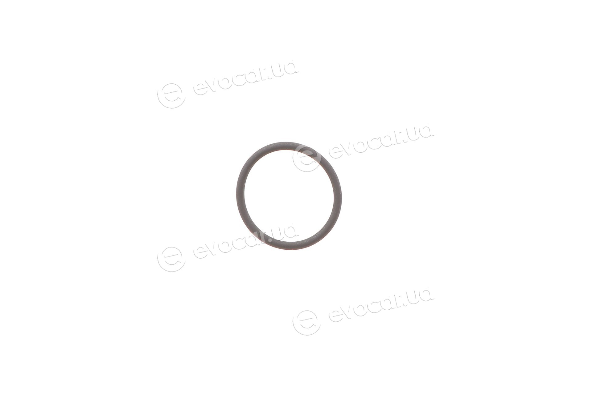 Elring 904.480