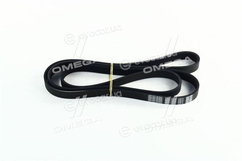 Dayco 6PK1875