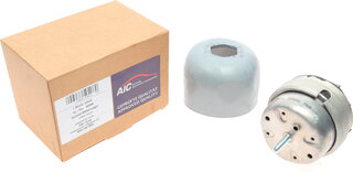 AIC 50406