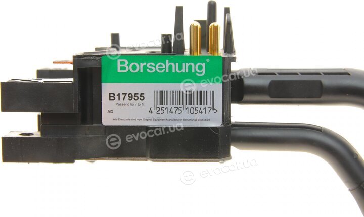 Borsehung B17955