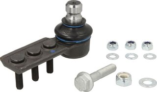 Reinhoch RH03-4019