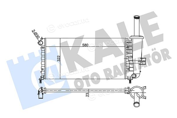 Kale 351855