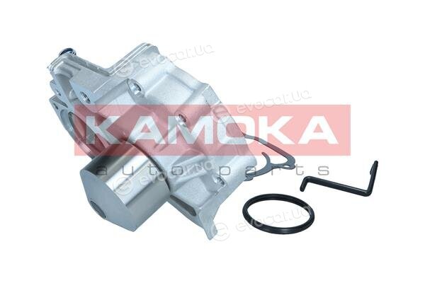 Kamoka T0313