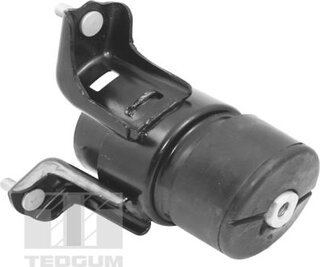 Tedgum TED62860