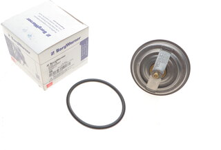 Wahler / BorgWarner 4105.71D