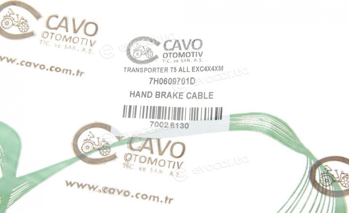 Cavo 7002 613