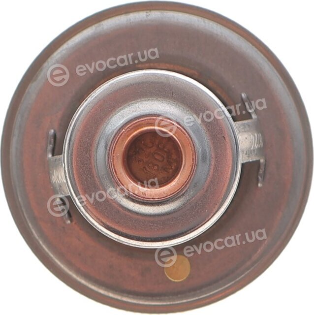 Motorad 228-82JK