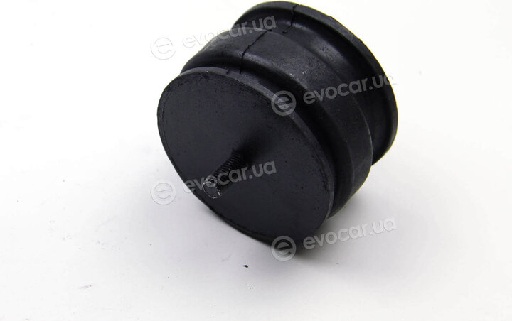 Metalcaucho / STC 02790