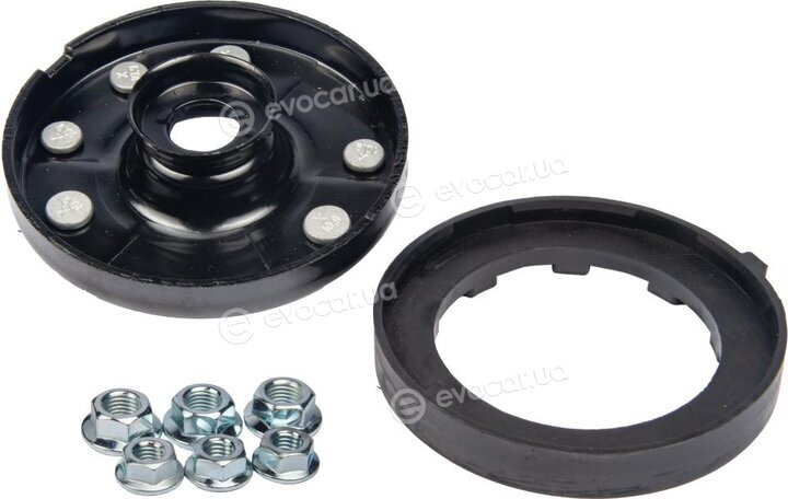 Raiso RC05789