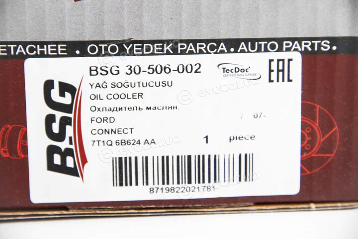 BSG BSG 30-506-002