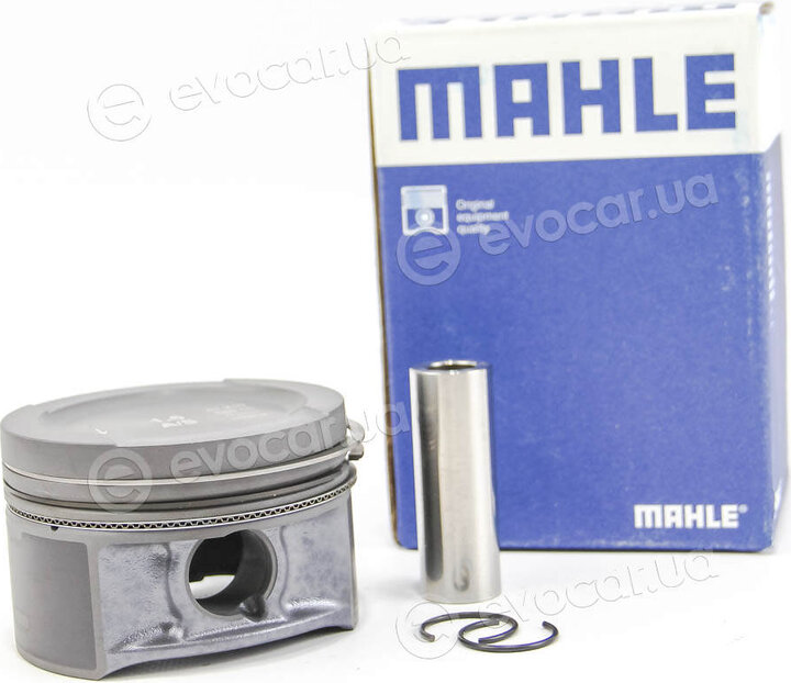 Mahle 033 01 01