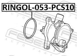 Febest RINGOL-053-PCS10