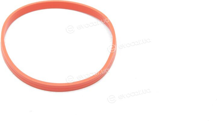 Elring 576.100