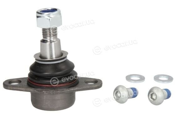 Reinhoch RH03-3019