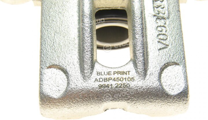 Blue Print ADBP450105