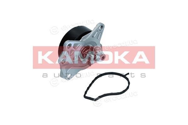 Kamoka T0088