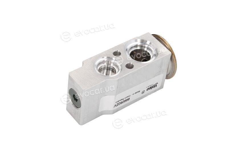 Valeo 509901