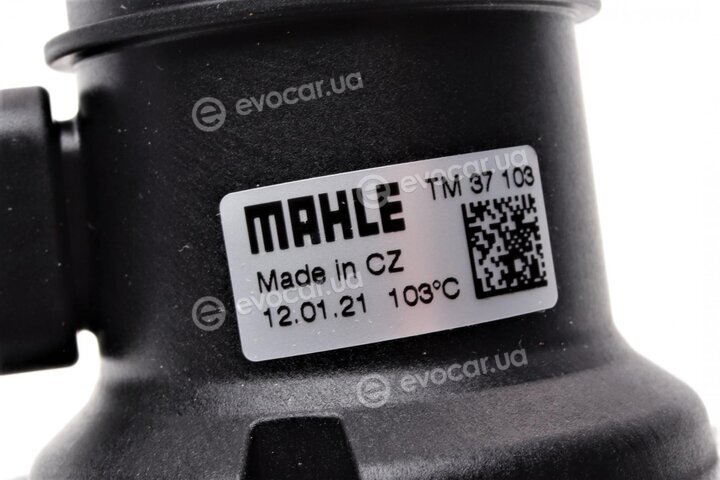 Mahle TM 37 103