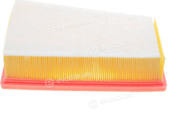 Solgy 103073