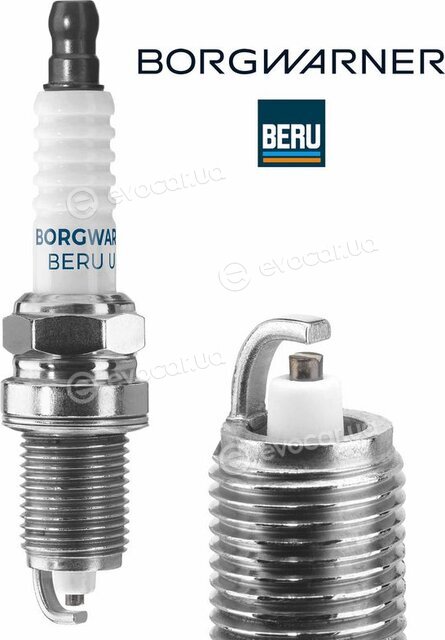 BorgWarner Z203